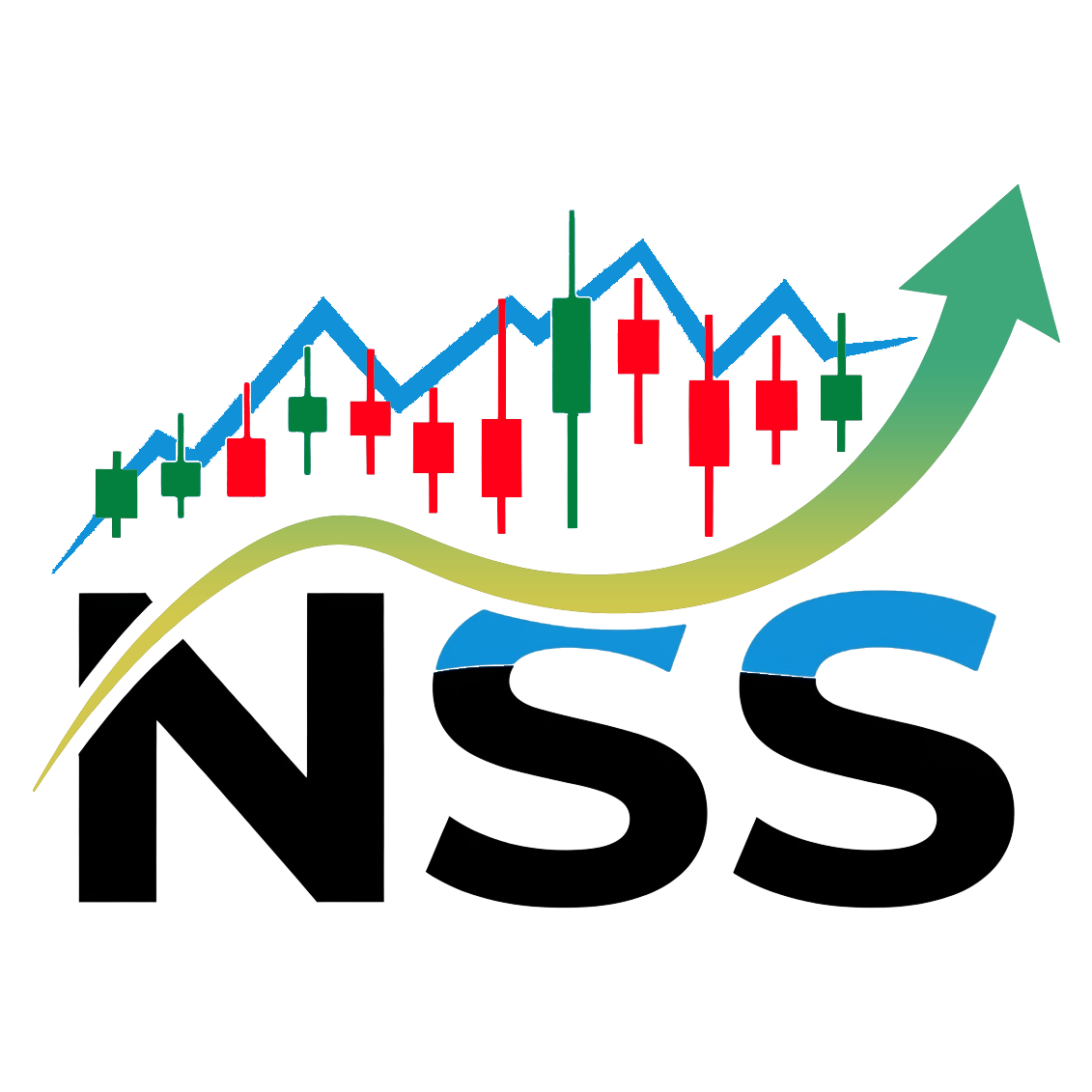 nss_logo